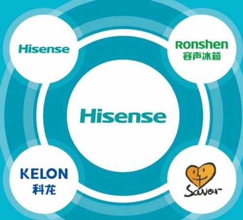 海信電器總部與海信家電集團(tuán)客服信息咨詢服務(wù)詳解